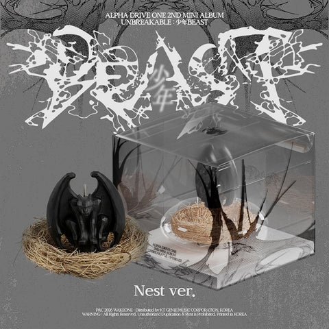 ALPHA DRIVE ONE 2nd Mini - UNBREAKABLE : 少年BEAST (Nest ver.) (Limited) - KPOP ONLINE STORE USA